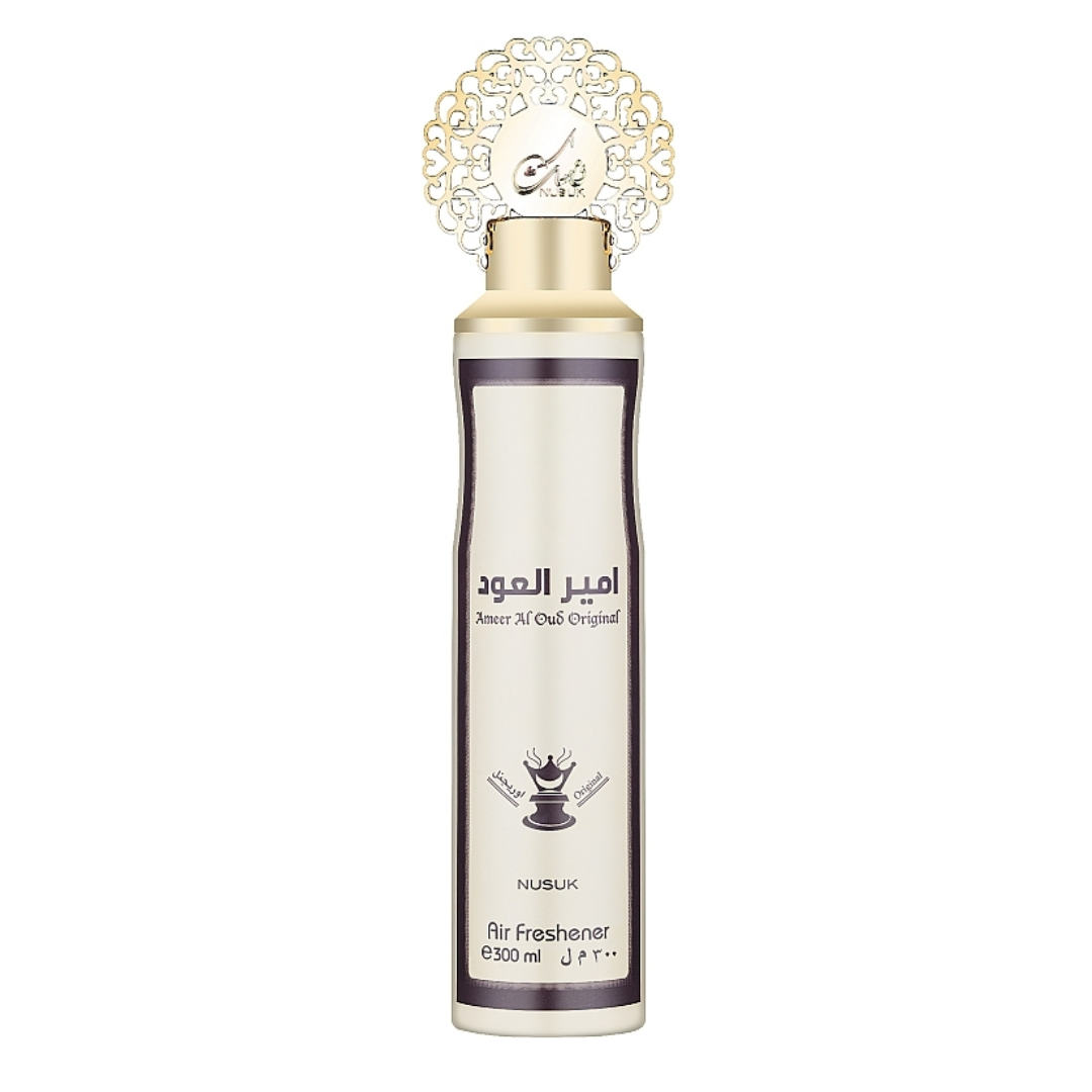 AMBIENTADOR AMEER AL OUD